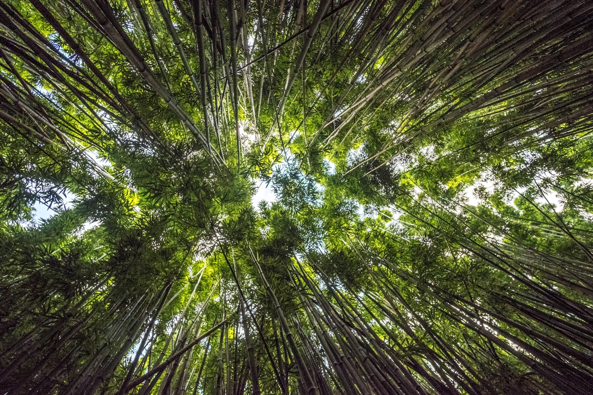 Mobirise